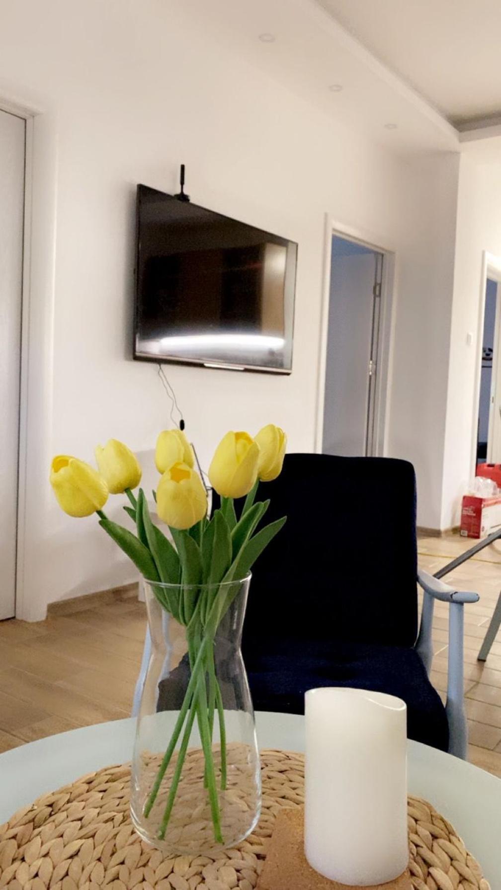 Vanja Apartman 弗尔沙茨 外观 照片