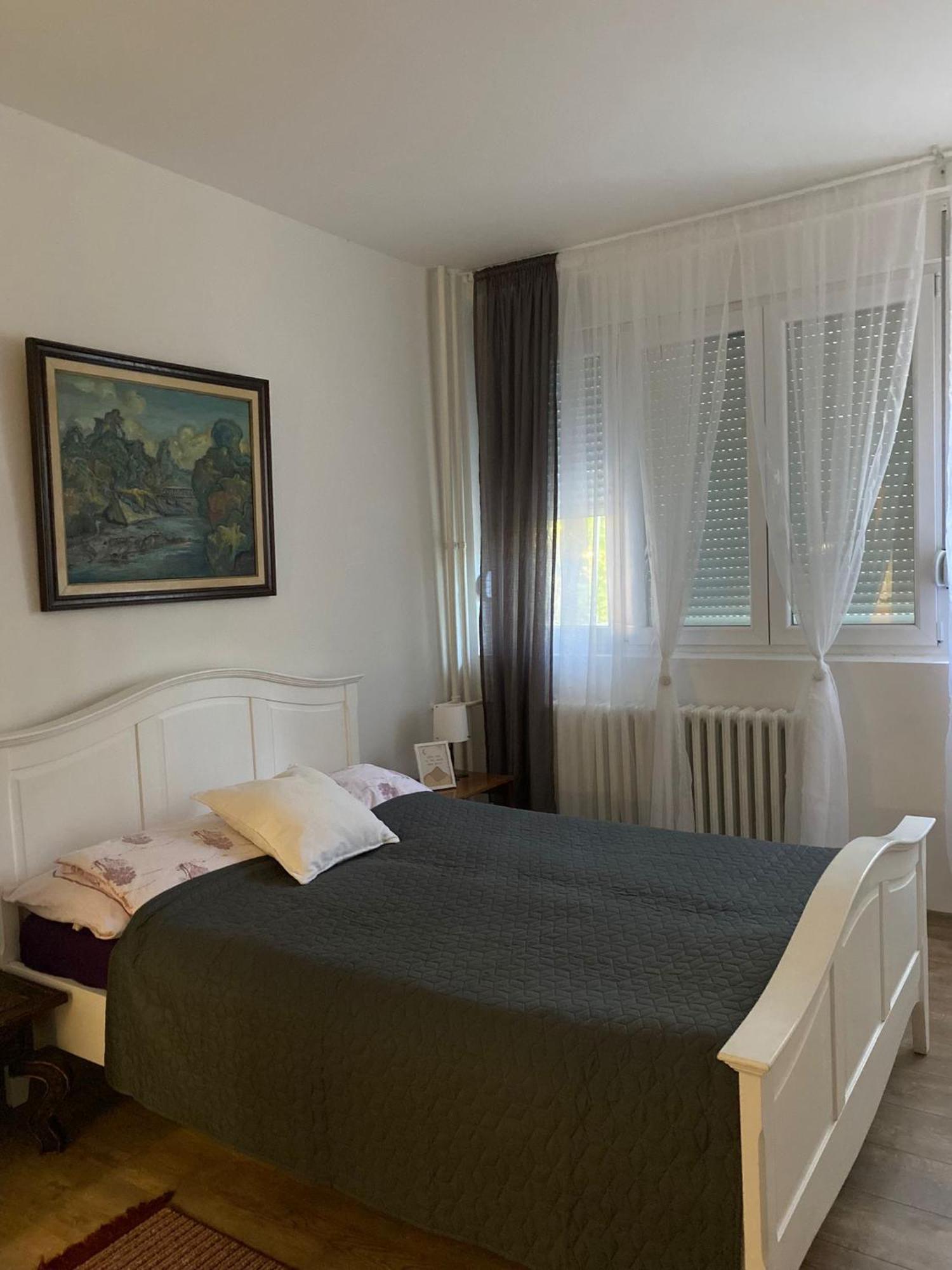 Vanja Apartman 弗尔沙茨 外观 照片